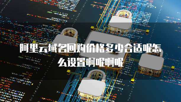 掌控谈判桌 阿里域名回购的策略与互联网域名注册服务实战指南