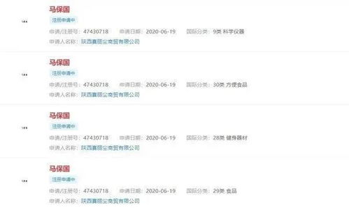 互联网域名注册服务 连接数字世界的桥梁